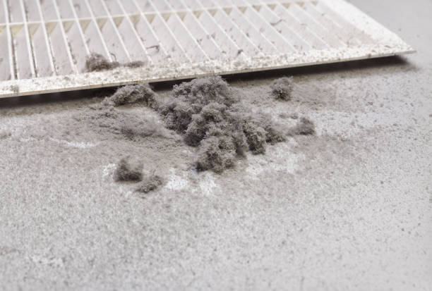 Best Commercial Air Duct Cleaning  in Loxahatchee Groves, FL