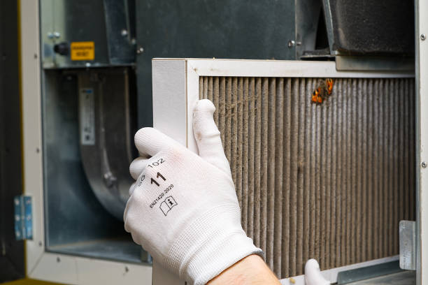 Best Residential Air Duct Cleaning  in Loxahatchee Groves, FL