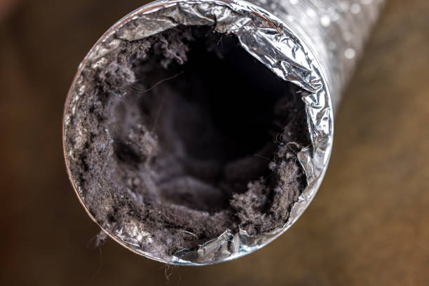 Best Affordable Duct Cleaning Services  in Loxahatchee Groves, FL